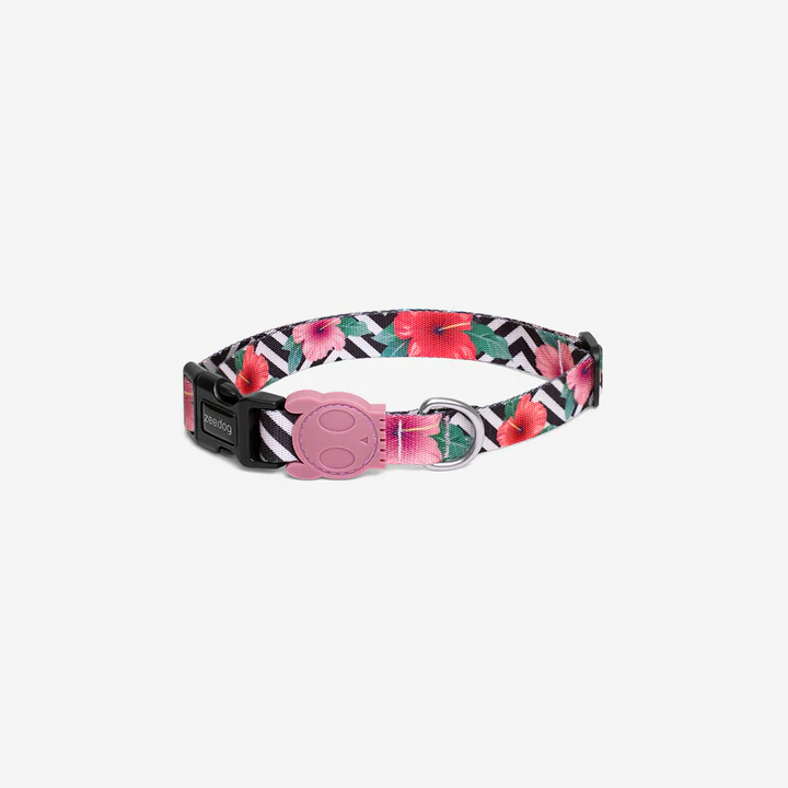 zee_dog_dog_collar_mahalo_main-1_720x