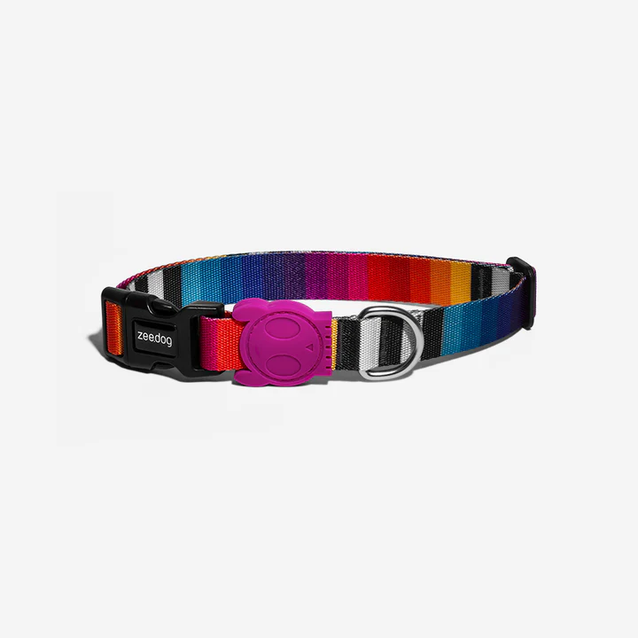 zee_dog_dog_collar_prisma_main-1_720x