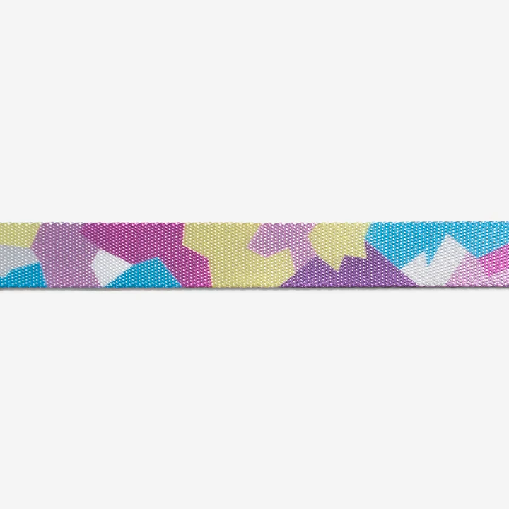 zeedog-dog-collar-candy_main-4_720x