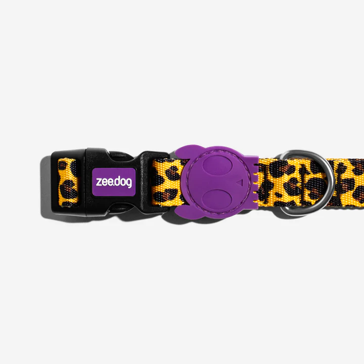 zeedog-dog-collar-honey_main-2_720x