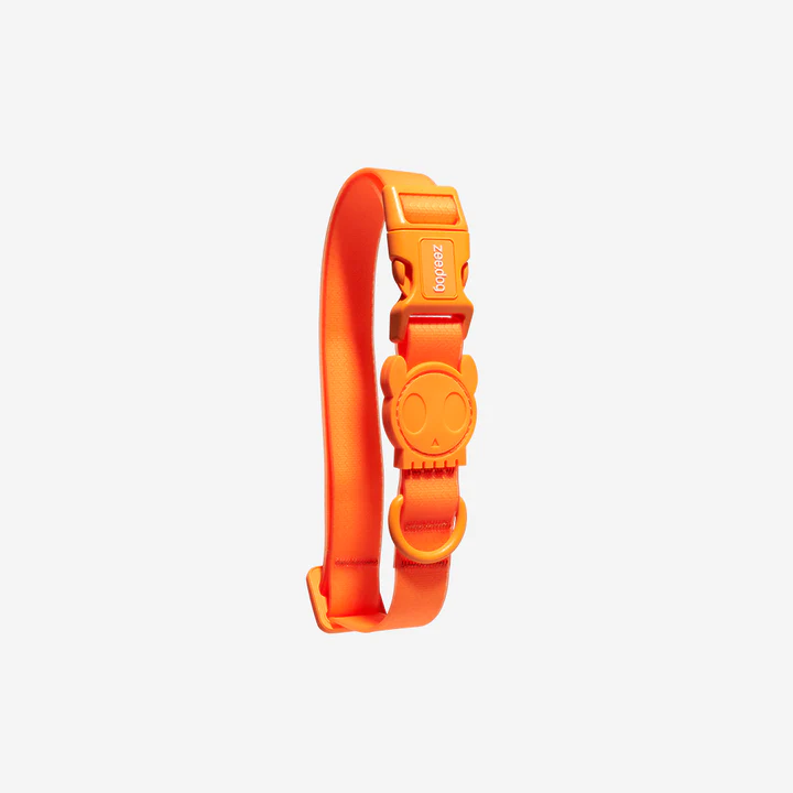 zeedog_dog_collar_neopro_tangerine_main-1_720x