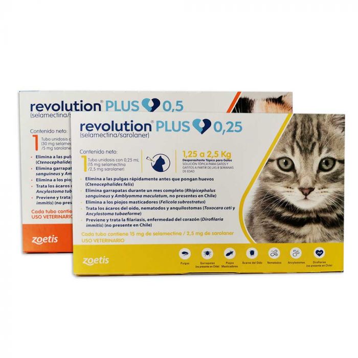 revolution_plus